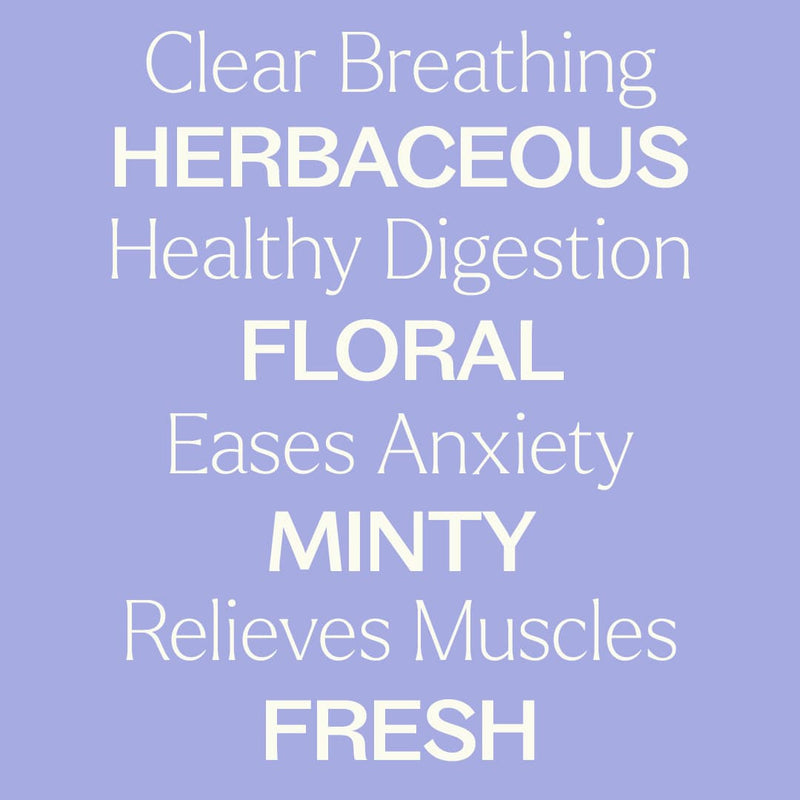 Plant Therapy Catnip Essential Oil Essential Oil Light Steel Blue 10 mL