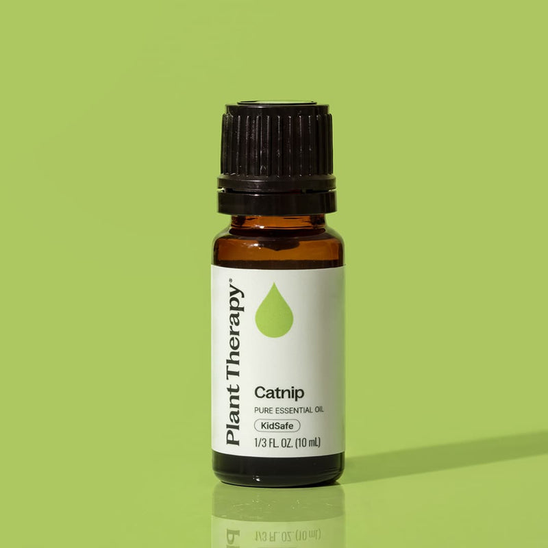 Plant Therapy Catnip Essential Oil Essential Oil Dark Khaki 10 mL