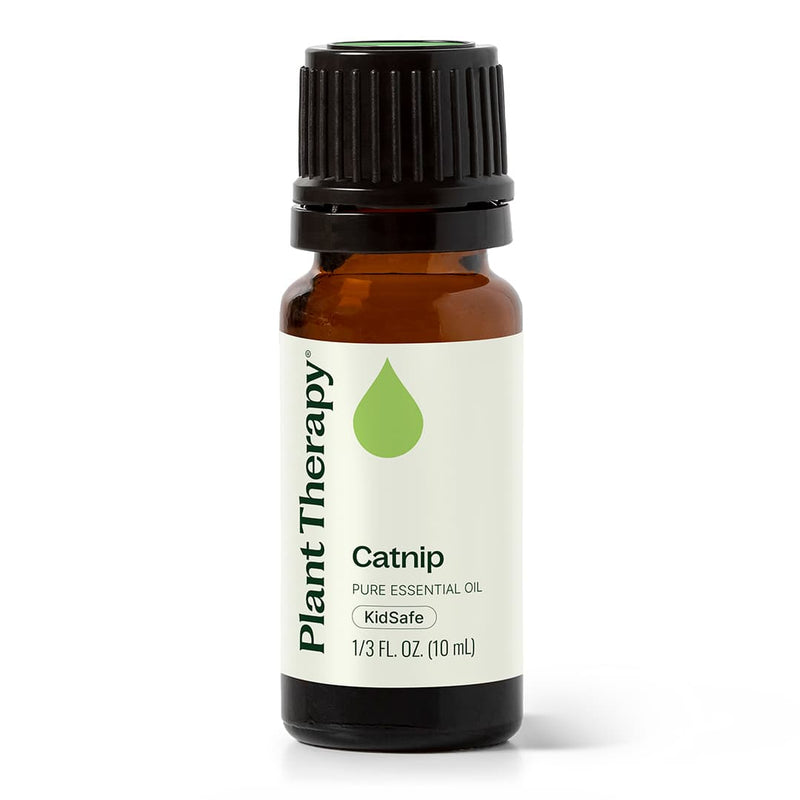 Plant Therapy Catnip Essential Oil Essential Oil White Smoke 10 mL