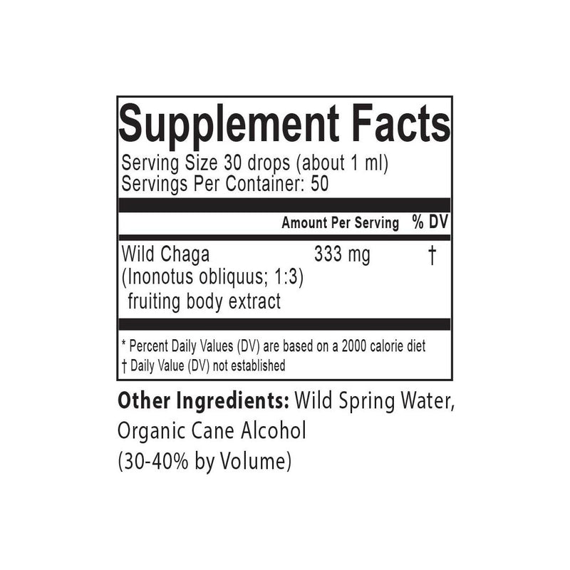 Forager's Kingdom Chaga Extract Mushroom Extract Dark Slate Gray