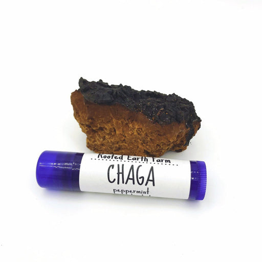 Rooted Earth Farm + Apothecary Chaga Lip Balm Lip Balms + Tints White Smoke Unscented,Lavender,Peppermint,3 Unscented,3 Lavender,3 Peppermint,3 - 1 of each scent