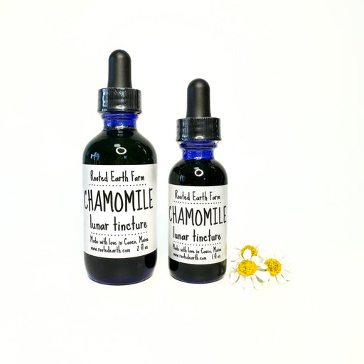 Rooted Earth Farm + Apothecary Chamomile Tincture Tinctures + Capsules White Smoke 1 oz,2 oz
