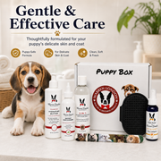 Warren London Warren London Puppy Bundle Gift Box Deals & Packages Light Gray