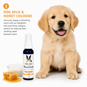 Warren London Warren London Puppy Bundle Gift Box Deals & Packages White Smoke