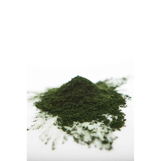 Sun Potion Chlorella Powder (Sound Processed) Adaptogen Light Gray 111g Jar
