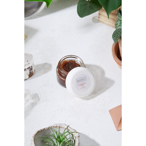 Butter Me Up Organics Organic Chocolate Lip Scrub Flaky Chapped Lips Face Light Gray
