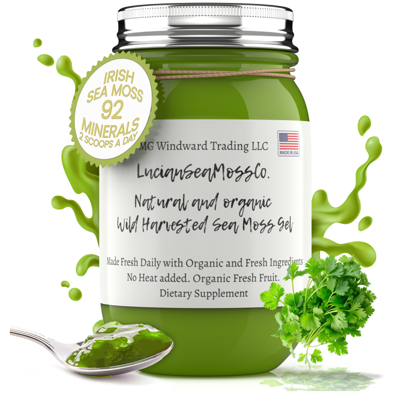 MG Windward Trading LLC Cilantro Infused Organic Sea Moss Gel Herbal Gel Light Gray 8 oz. / Without Agave,8 oz. / With Agave,16 oz. / Without Agave,16 oz. / With Agave,32 oz. / Without Agave,32 oz. / With Agave