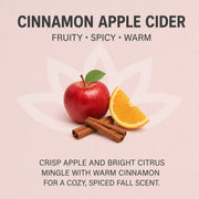 Glimmer Goddess® Organic Skin Care Organic Whipped Body Butter for Extremely Dry Skin 8 oz. Lotions & Moisturizers Light Gray Cinnamon Apple Cider