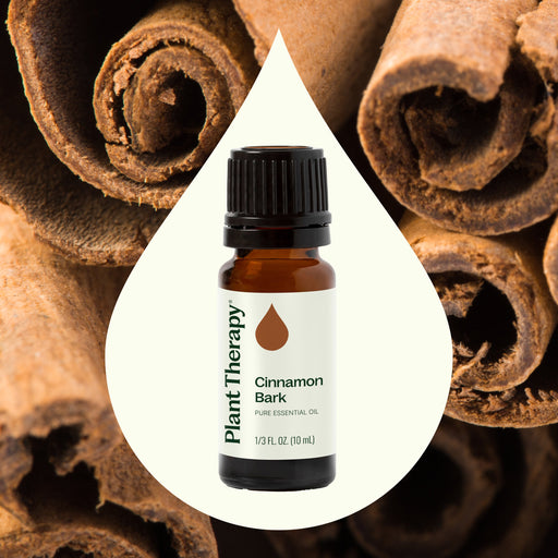 Plant Therapy Cinnamon Bark Essential Oil Essential Oil Seashell 10 mL,30 mL