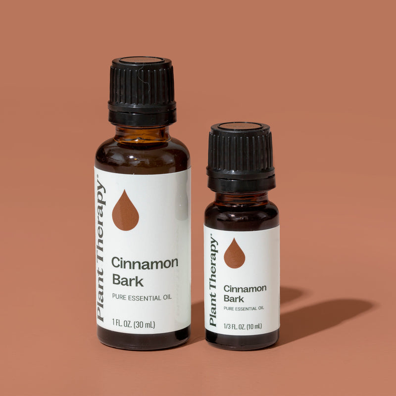 Plant Therapy Cinnamon Bark Essential Oil Essential Oil Rosy Brown 10 mL,30 mL