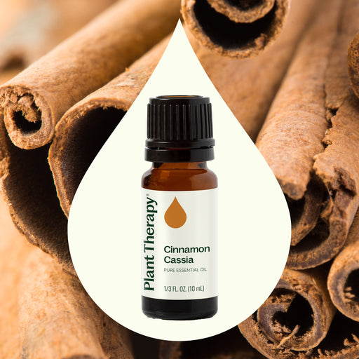 Plant Therapy Cinnamon Cassia Essential Oil Essential Oil Black 10 mL,30 mL,100 mL