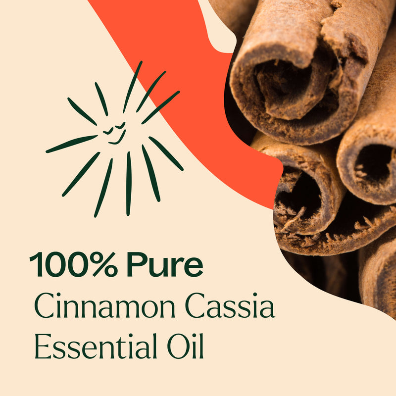 Plant Therapy Cinnamon Cassia Essential Oil Essential Oil Bisque 10 mL,30 mL,100 mL
