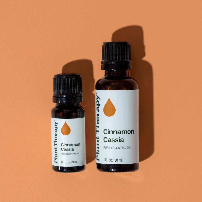 Plant Therapy Cinnamon Cassia Essential Oil Essential Oil Sandy Brown 10 mL,30 mL,100 mL