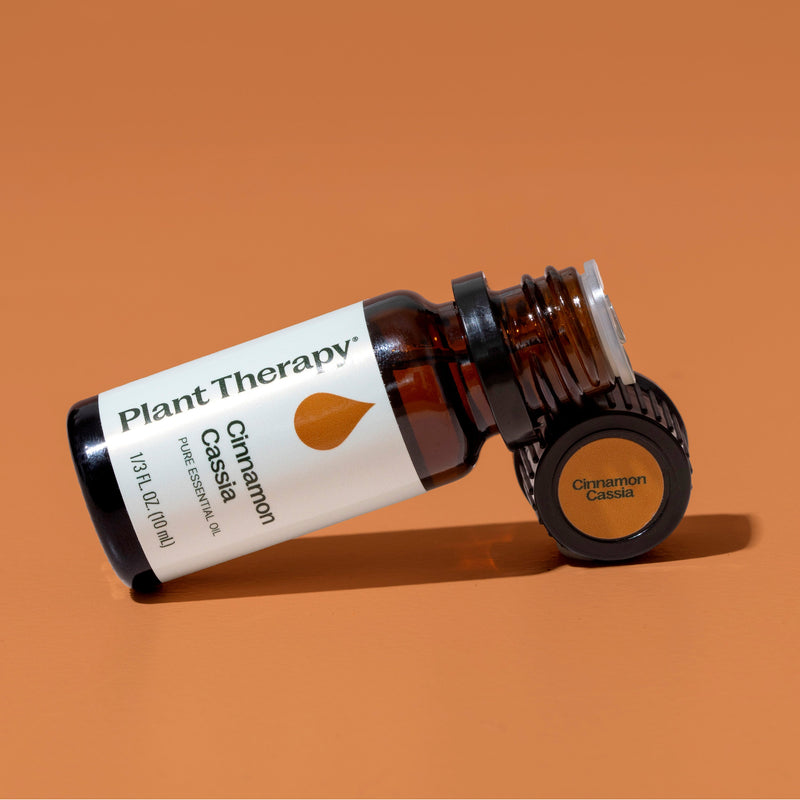 Plant Therapy Cinnamon Cassia Essential Oil Essential Oil Chocolate 10 mL,30 mL,100 mL