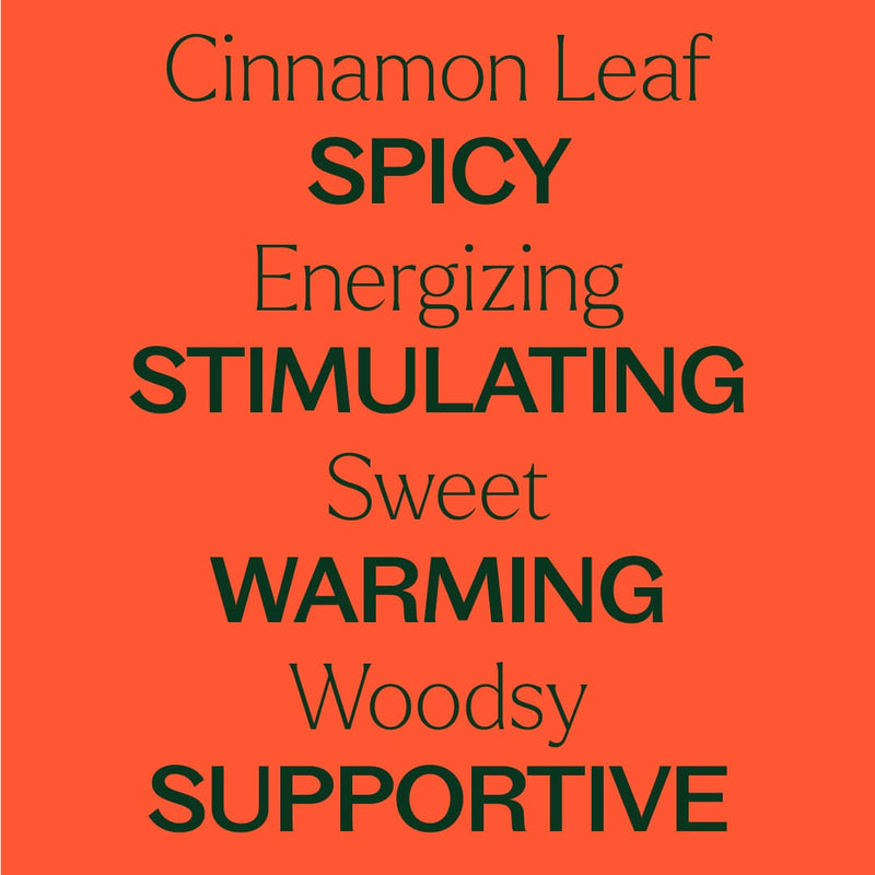 Plant Therapy Cinnamon Leaf Essential Oil Essential Oil Tomato 10 mL,30 mL