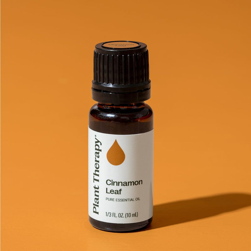 Plant Therapy Cinnamon Leaf Essential Oil Essential Oil Goldenrod 10 mL,30 mL