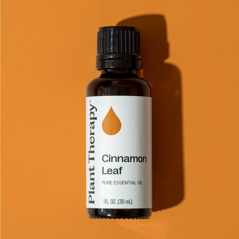 Plant Therapy Cinnamon Leaf Essential Oil Essential Oil Coral 10 mL,30 mL