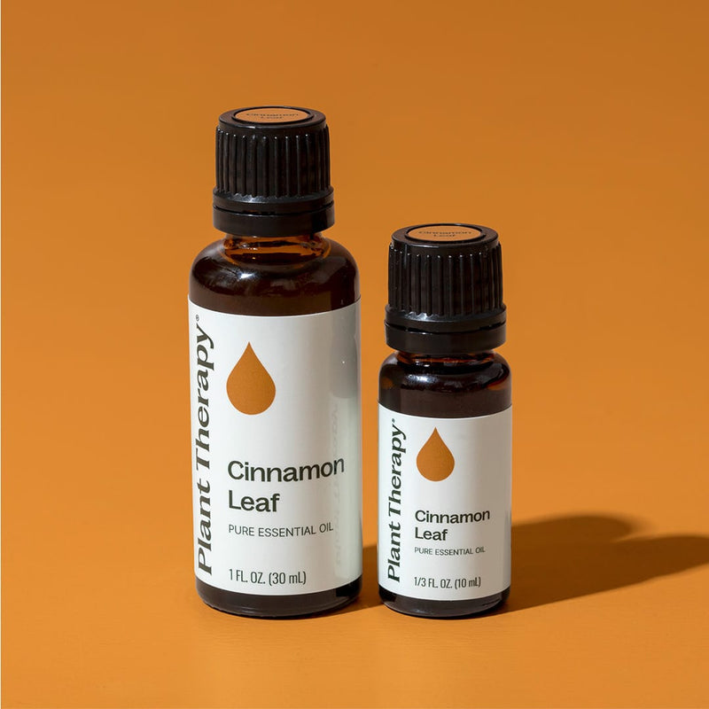 Plant Therapy Cinnamon Leaf Essential Oil Essential Oil Chocolate 10 mL,30 mL
