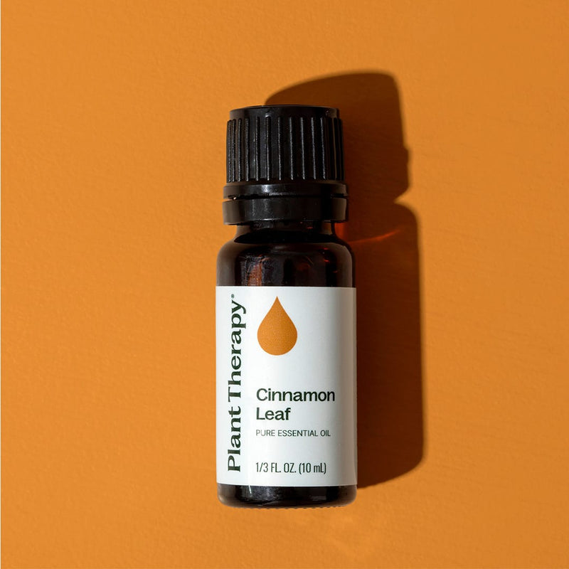 Plant Therapy Cinnamon Leaf Essential Oil Essential Oil Goldenrod 10 mL,30 mL