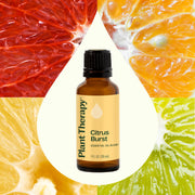 Plant Therapy Citrus Burst Essential Oil Blend Essential Oil Seashell 10 mL,30 mL