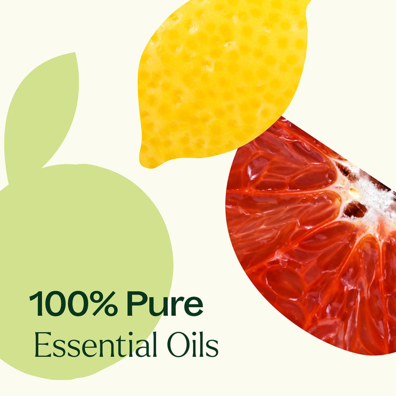 Plant Therapy Citrus Burst Essential Oil Blend Essential Oil Seashell 10 mL,30 mL