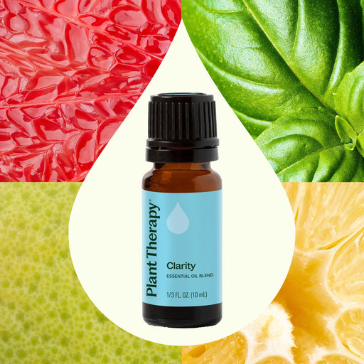 Plant Therapy Clarity Essential Oil Blend Essential Oil Seashell 10 mL