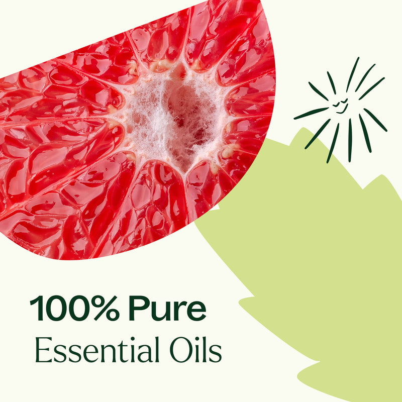 Plant Therapy Clarity Essential Oil Blend Essential Oil White Smoke 10 mL