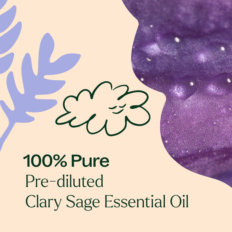 Plant Therapy Clary Sage Essential Oil Pre-Diluted Roll-On Essential Oil Antique White 10 mL