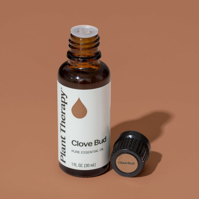 Plant Therapy Clove Bud Essential Oil Essential Oil Sienna 10 mL,30 mL,100 mL