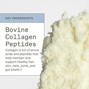 AMMD Collagen Protein - Type 1 & 3 Collagen Supplement Lavender