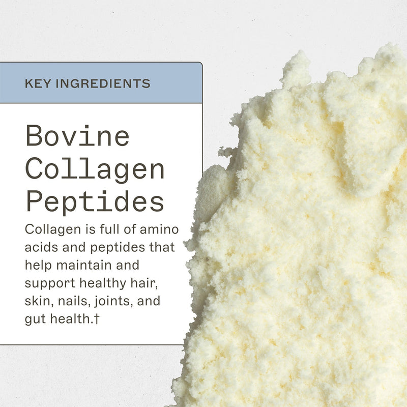 AMMD Collagen Protein - Type 1 & 3 Collagen Supplement Lavender