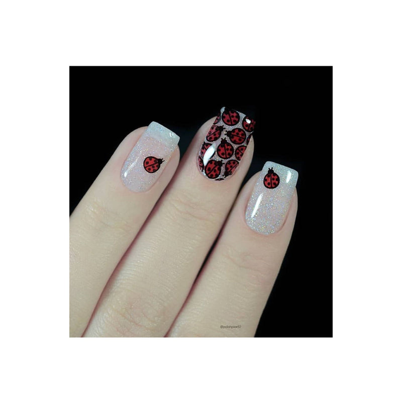 UberChic Beauty Collection 12 Stamping Plate Dark Gray