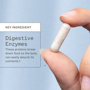 AMMD Complete Enzymes Supplement Light Steel Blue