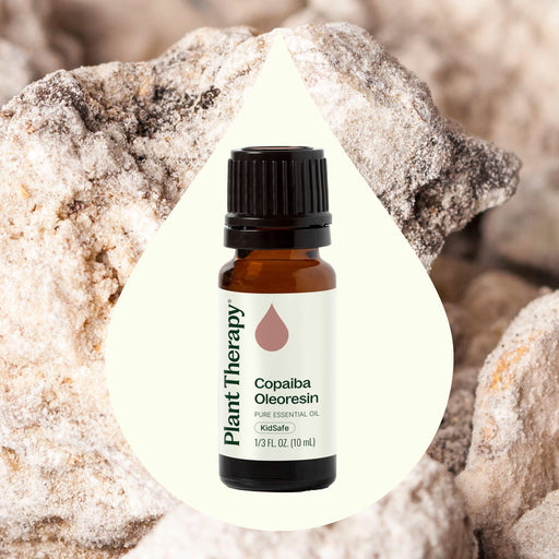 Plant Therapy Copaiba Oleoresin Essential Oil Seashell 10 mL,30 mL