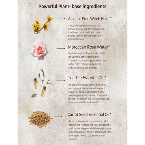 MION Artisan Soap Co. Face Toner | Correcting & Balancing pH Light Gray