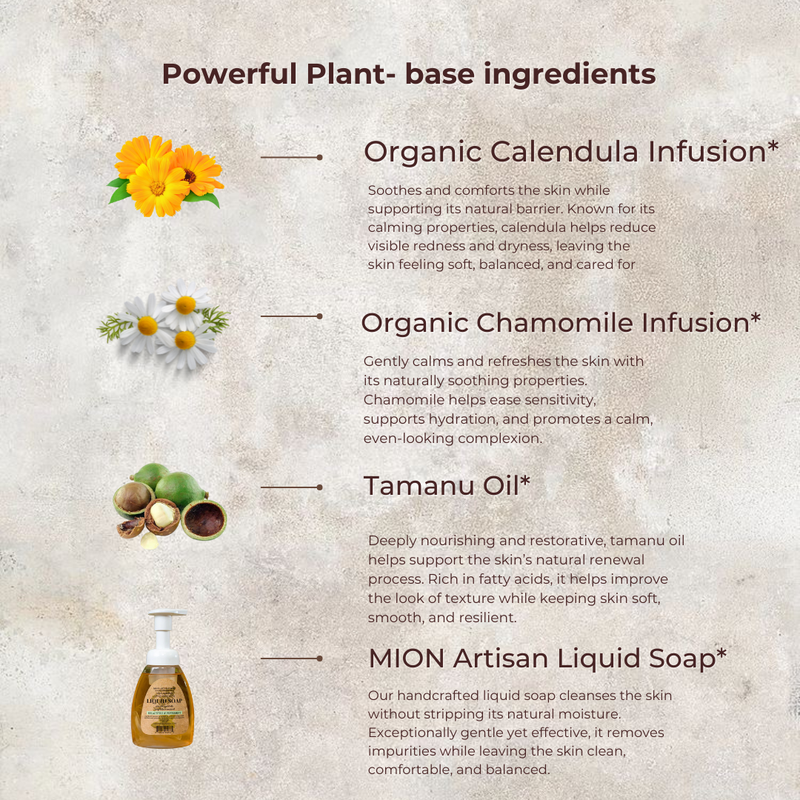 MION Artisan Soap Co. Face Wash Refill | with Rose Hip and Tamanu Oils Light Gray
