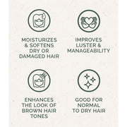 Chagrin Valley Soap & Salve Shampoo Bar: Cafe Moreno Shampoo Bar Seashell Full Bar 5.6 oz,Travel Size Bar 1.7 oz