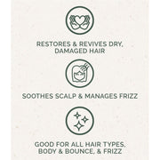 Chagrin Valley Soap & Salve Shampoo Bar: Coconut Milk Shampoo Bar Seashell Full Bar 5.6 oz,Travel Size Bar 1.7 oz