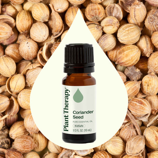 Plant Therapy Coriander Seed Essential Oil Essential Oil Seashell 10 mL