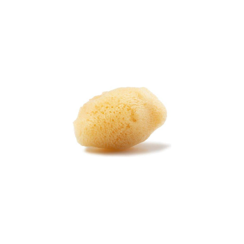 The Sponge Company The Sponge Company Sea-Silk Cosmetic Sponge #2 1Pc Med [101-02] Cosmetic Sponge Light Goldenrod
