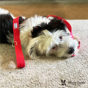 Warren London Fabric Dog Leash - Red Leashes, Collars & Accessories Gray