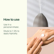 Plant Therapy Crave Control Essential Oil Blend Essential Oil Seashell 10 mL