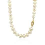Bids.com 14k Yellow Gold Necklace with White Freshwater Cultured Pearls (6.0mm to 6.5mm) Necklaces White Smoke 16 / Yellow Gold,18 / Yellow Gold,20 / Yellow Gold