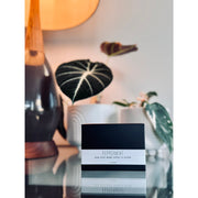 handmade. la conner Bar Soap - Seasonal Gray Peppermint