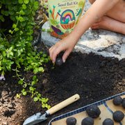 Modern Sprout Seed Ball Kits Playful Planting Tan Pollinator Garden,Pizza Garden,Wild Habitat Garden,Rainbow Garden