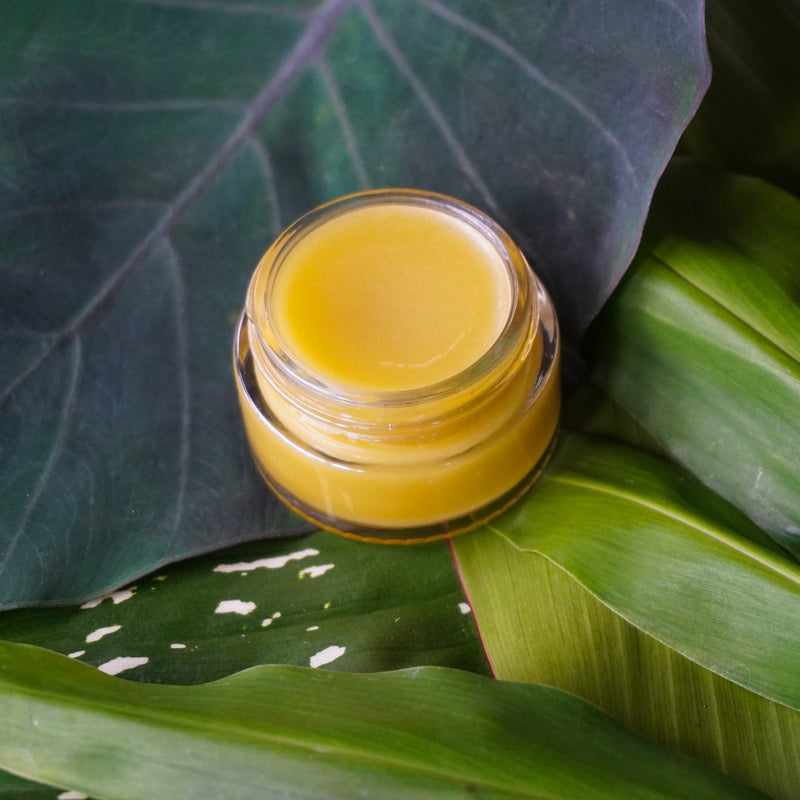INDIGO ELIXIRS Pain Healer Salve | for Relief & Repair Balm Dark Slate Gray 0.75 oz jar,2 oz jar