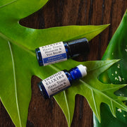 INDIGO ELIXIRS Head Tonic | for Headaches & Vog Aromatherapy Dark Olive Green 0.3 oz roller,Mini 0.1 oz roller