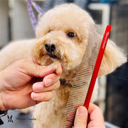 Warren London Detangling Strong Comb Pet Combs & Brushes Wheat
