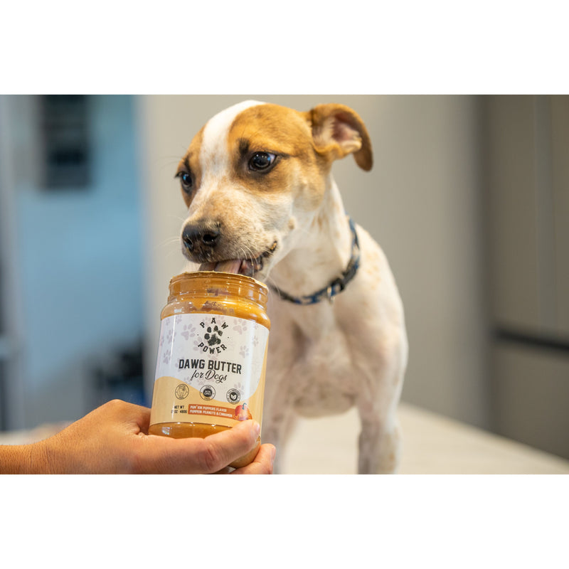 Paw Power Nutrition Dawg Butter Pum'kin Puppers Flavor Dim Gray
