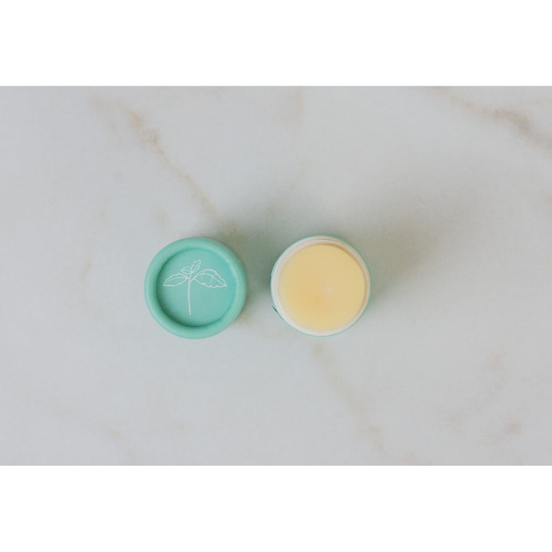 No Tox Life SOLIDSILK® Lip Butter - Sweet Mint - No Tox Life® Lip Care Gray